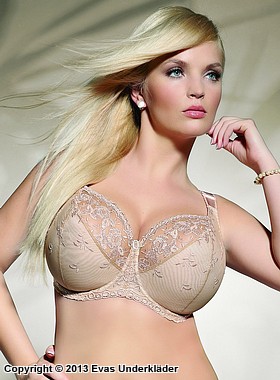 Beautiful bra, embroidery, partially sheer cups